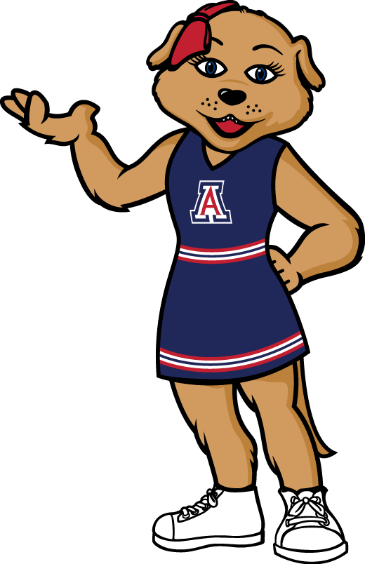 Arizona Wildcats 2013-Pres Mascot Logo iron on transfers for T-shirts